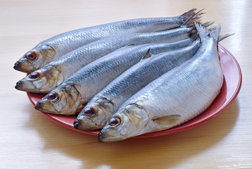 five fish of the herring plate