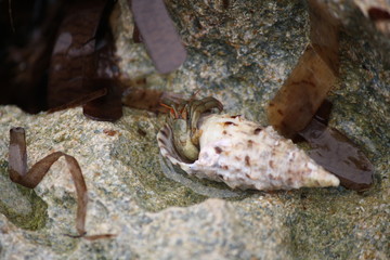 Landschaft und Meer 6