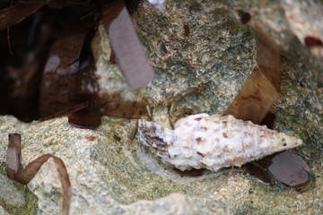 Landschaft und Meer 6