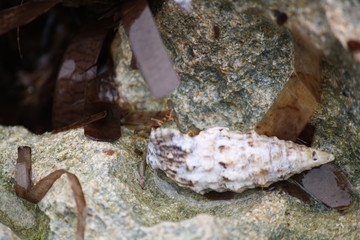 Landschaft und Meer 6