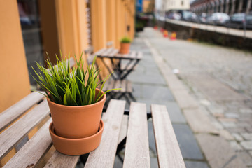 Street cafe table in Europe. On the table is a flower in a pot. Background, copy space.