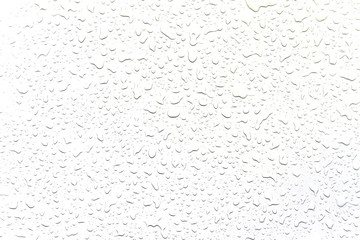 The concept of water drops on a white background