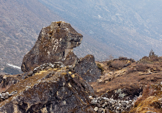 Stone bear in the mountains near Khunde - Nepal, Himalayas