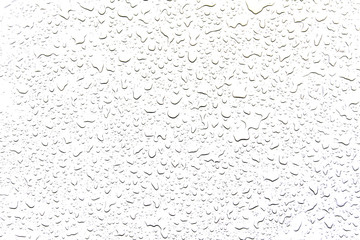 The concept of water drops on a white background