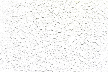 The concept of water drops on a white background
