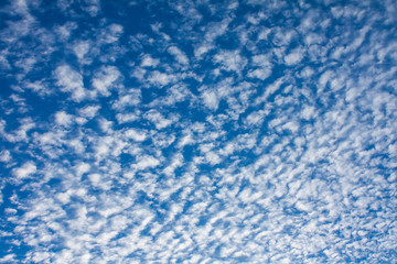 Cotton cloud