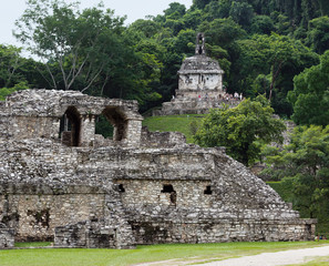 The ruins of the ancient city of Palenque, Mexico