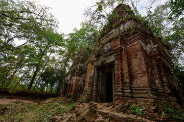 old temple in the forest