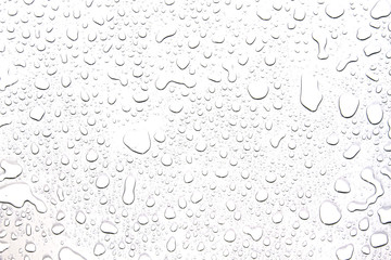 The concept of water drops on a white background