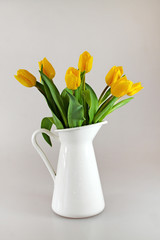 Bouquet of fresh yellow tulips in jug