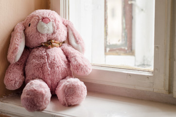 Pink teddy rabbit in the window light - horizontal view