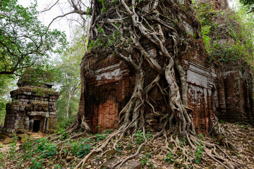 old temple in the forest