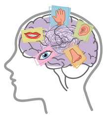 Five Senses disorder illustration. Sight, hearing, taste, smell and touch in human brain.