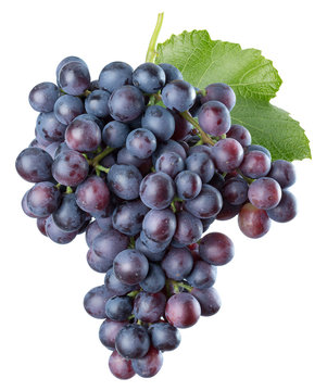 purple grapes isolated on a white background