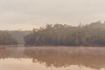 Obraz na płótnie Canvas lake and pine forest on morning time.