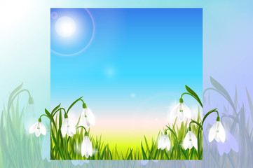 Fototapeta premium Spring background with snowdrop flowers, green grass, swallows and blue sky.