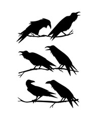 Hand drawn ravens