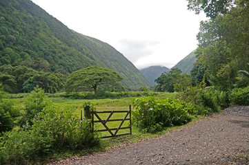 Gated Green Valley