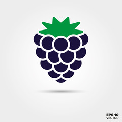 Blackberry fruit vector icon
