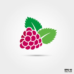 raspberry fruit and leaves color icon