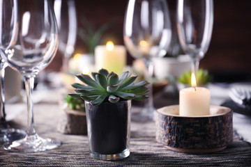 Table served with succulents for dinner in living room