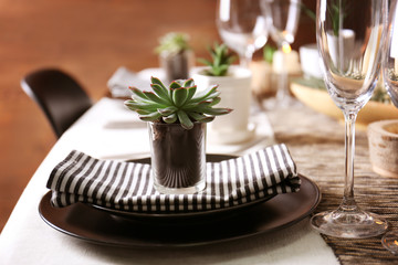 Table served with succulents for dinner in living room