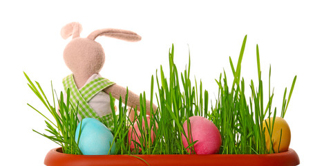 Easter bunny with eggs on white background