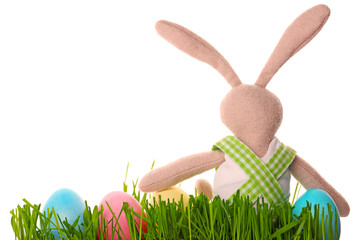 Easter bunny with eggs on white background