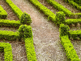 Botanical garden, sculpture garden, Portugal, Madeira, Funchal