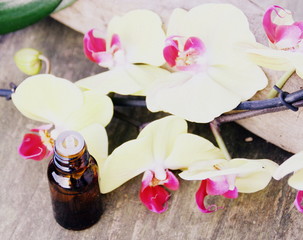huile essentielle d'orchidée jaune sur bois
