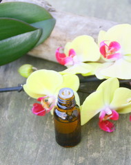 huile essentielle d'orchidée jaune sur bois