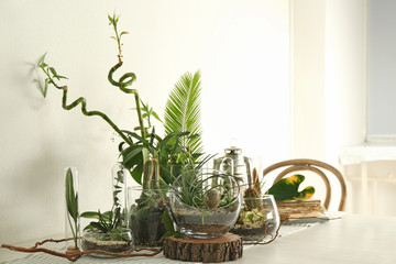 Succulent gardens in glass vases on table