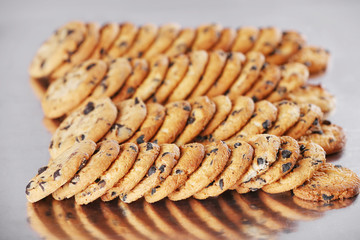 Production line of baking  cookies, closeup