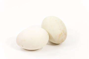 isolate duck egg