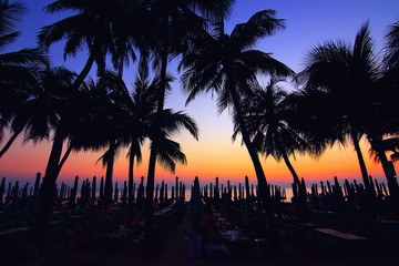 Dark silhouettes of palm trees and beach umbrella with amazing cloudy sky sunset at tropical beach in Pattaya Thailand. Coconut Tree with Beautiful and romantic sunset in Maldives island. color filter