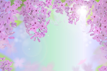 Obraz na płótnie Canvas Vector web banners with purple, pink, blue and white lilac flowers.