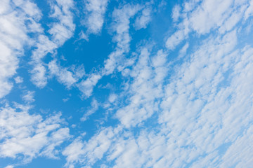 Fototapeta na wymiar Beautiful cirrus clouds against the blue sky, Pattern of clouds in the blue sky, blue sky with cloud.