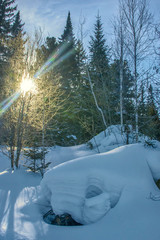 Fototapete bei efototapeten.de bestellen   