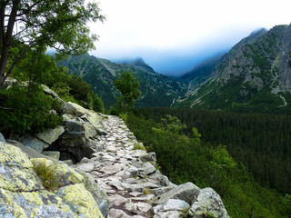 Mountain trail in High Tatras mountains, Slovakia