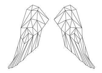 Le ali chiuse, design geometrico di linee nere sullo sfondo bianco