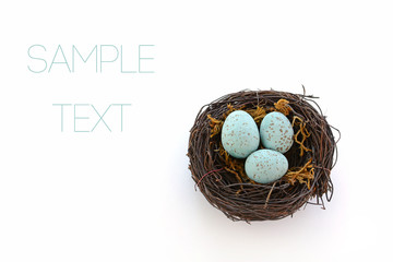 Obraz premium Blue eggs in nest