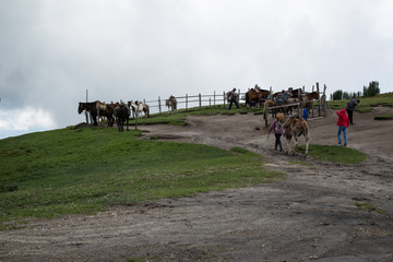 Fototapeta premium Riding on Pichincha, Quito