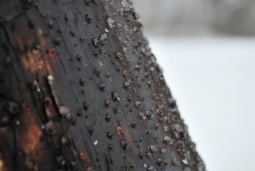 texture
