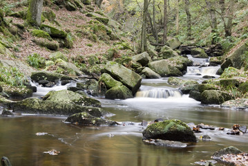Fototapeta na wymiar Burbage Brook flows down the forested rocky river valley of Padley Gorge, Longshaw Estate, Peak District, Derbyshire, UK