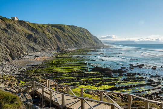 seaweed to infinite at barrika beach, Spain