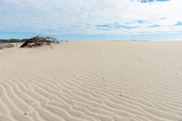Stunning Mangawhai Heads sand dunes
