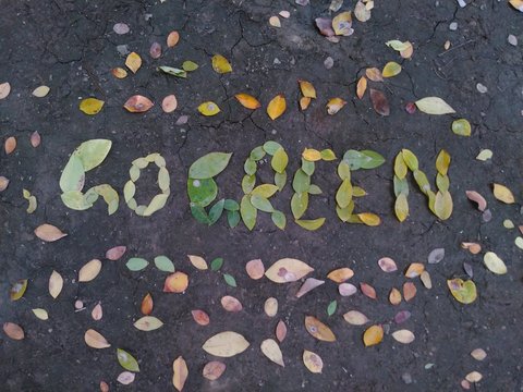 Go green written with leaves on moist ground
