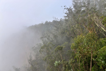 Brouillard dans ma montagne