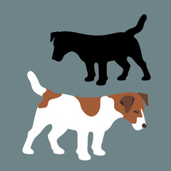 Terrier vector illustration style Flat set silhouette