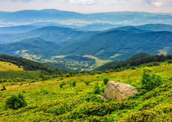 Fototapeta na wymiar meadow with boulders in Carpathian mountains in summer